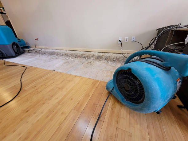 Professional Flood Damage Cleanup technician working in Arcadia, MI